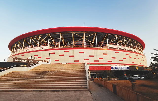 将成为他们 将成为他们