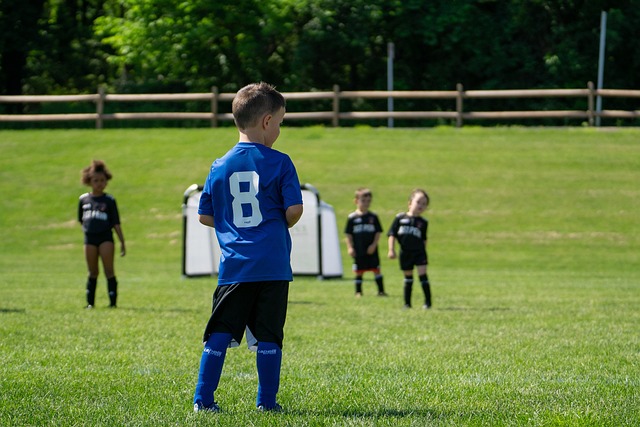 伤病问题使 伤病问题使