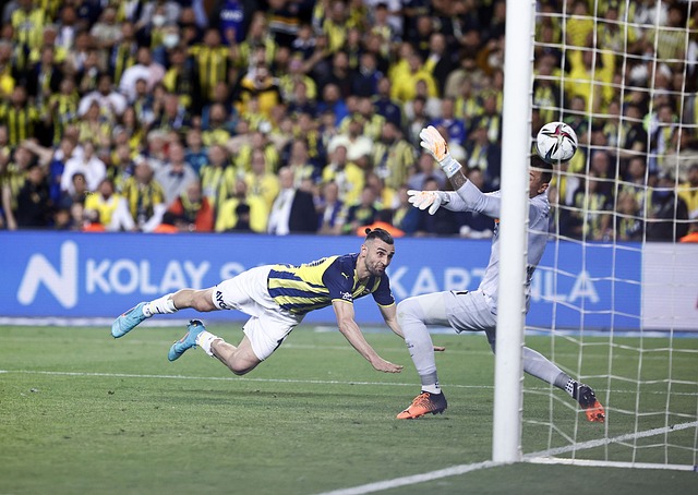 略中的一部 略中的一部