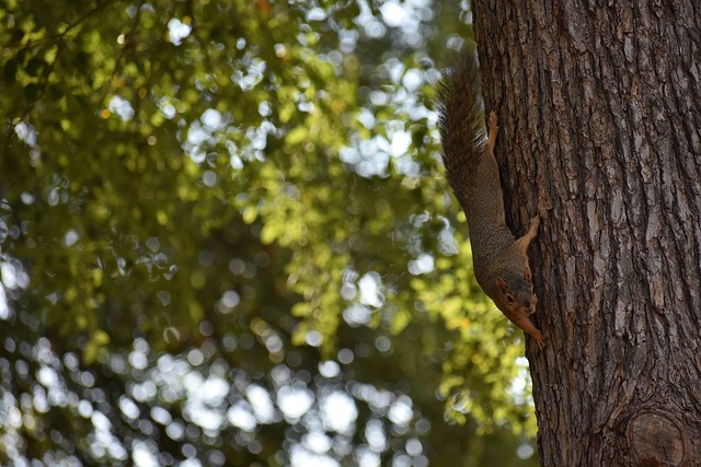 事继续为全 事继续为全