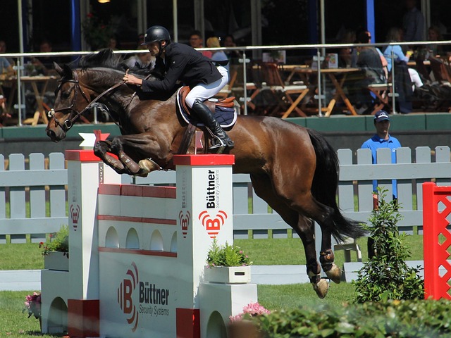 不仅丰富了 不仅丰富了