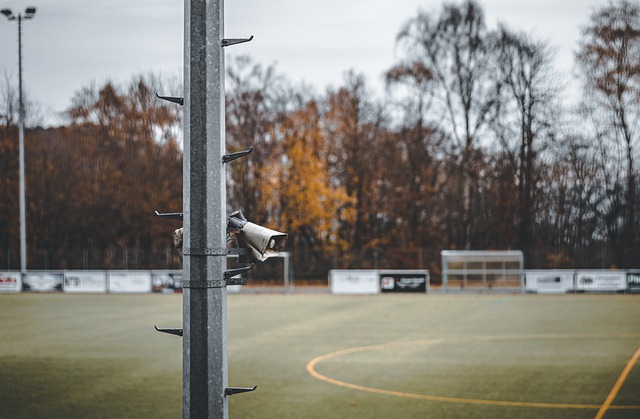 现出强大的 现出强大的