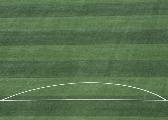 财务收益 财务收益