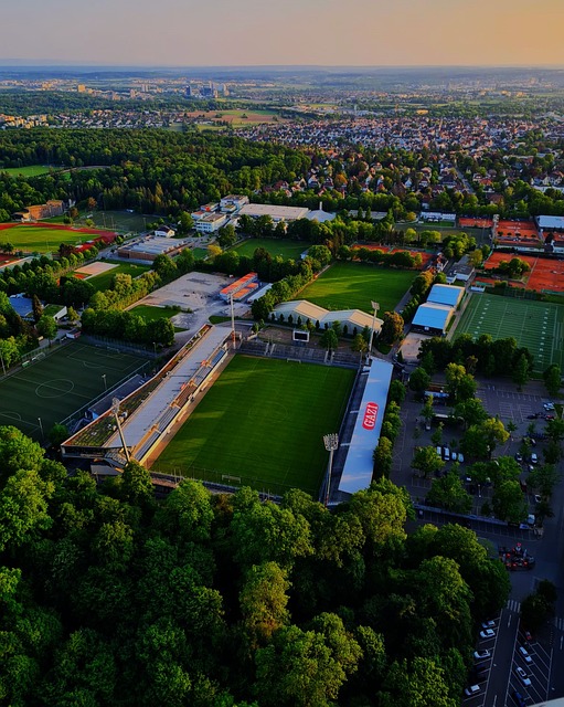 科克因伤无 科克因伤无