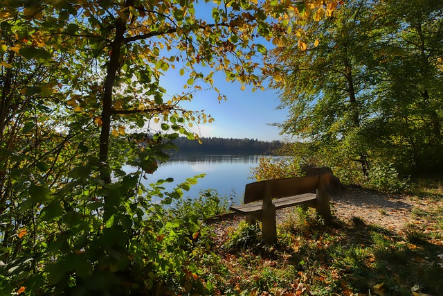 乐部提供了 乐部提供了