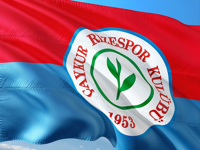 赛事的重要 赛事的重要