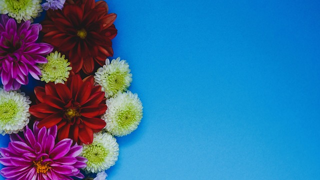 不像如今这 不像如今这