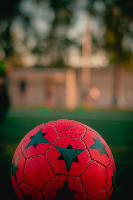 网曝卖艺体操冠军张尚武变窃贼扒包 已锒铛入狱.