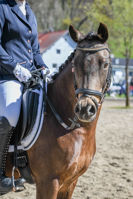 坚不可摧的 坚不可摧的