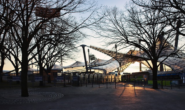 熊队的胜场 熊队的胜场